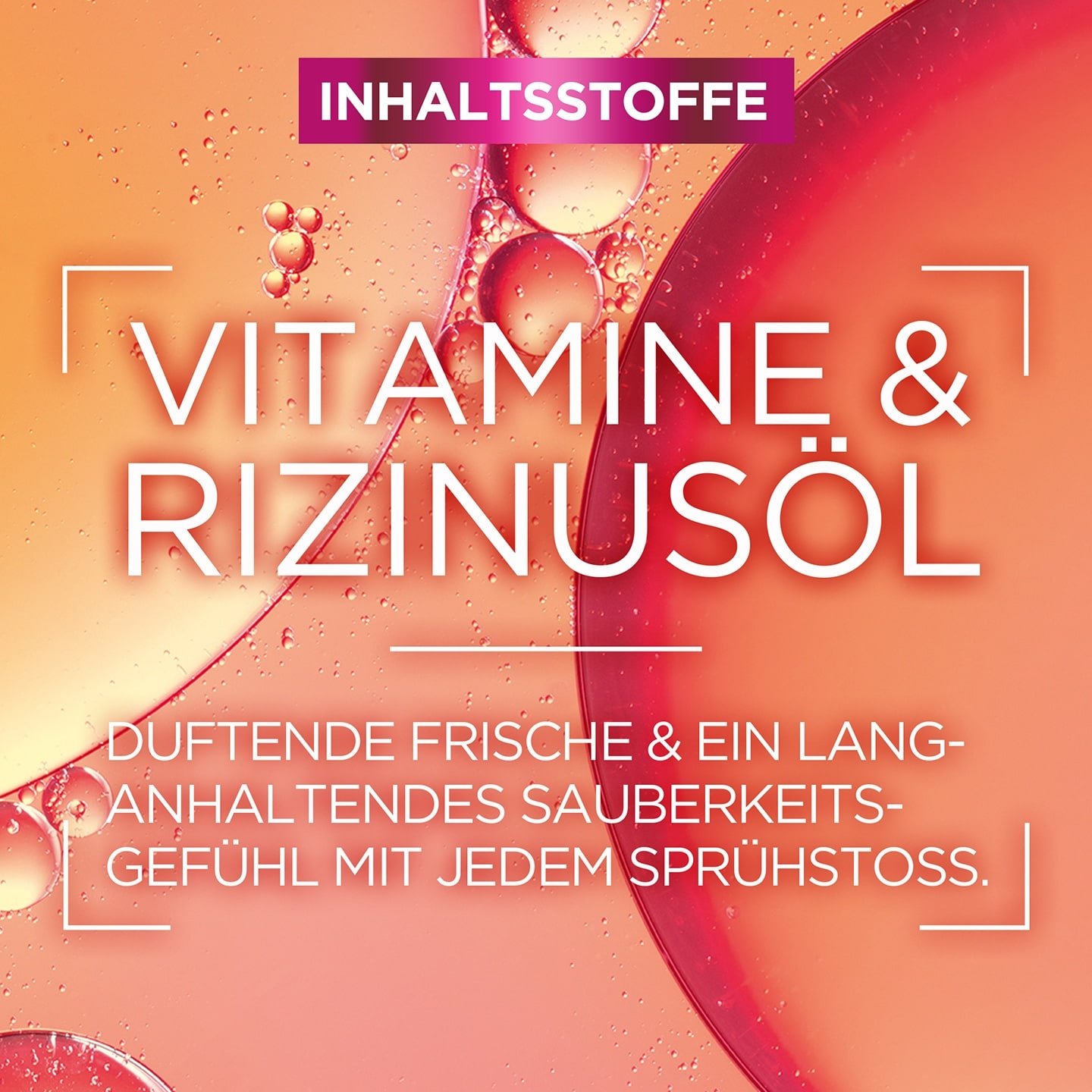 Inhaltsstoffe des Elvital Dream Lenght Air Volume Trockenshampoo